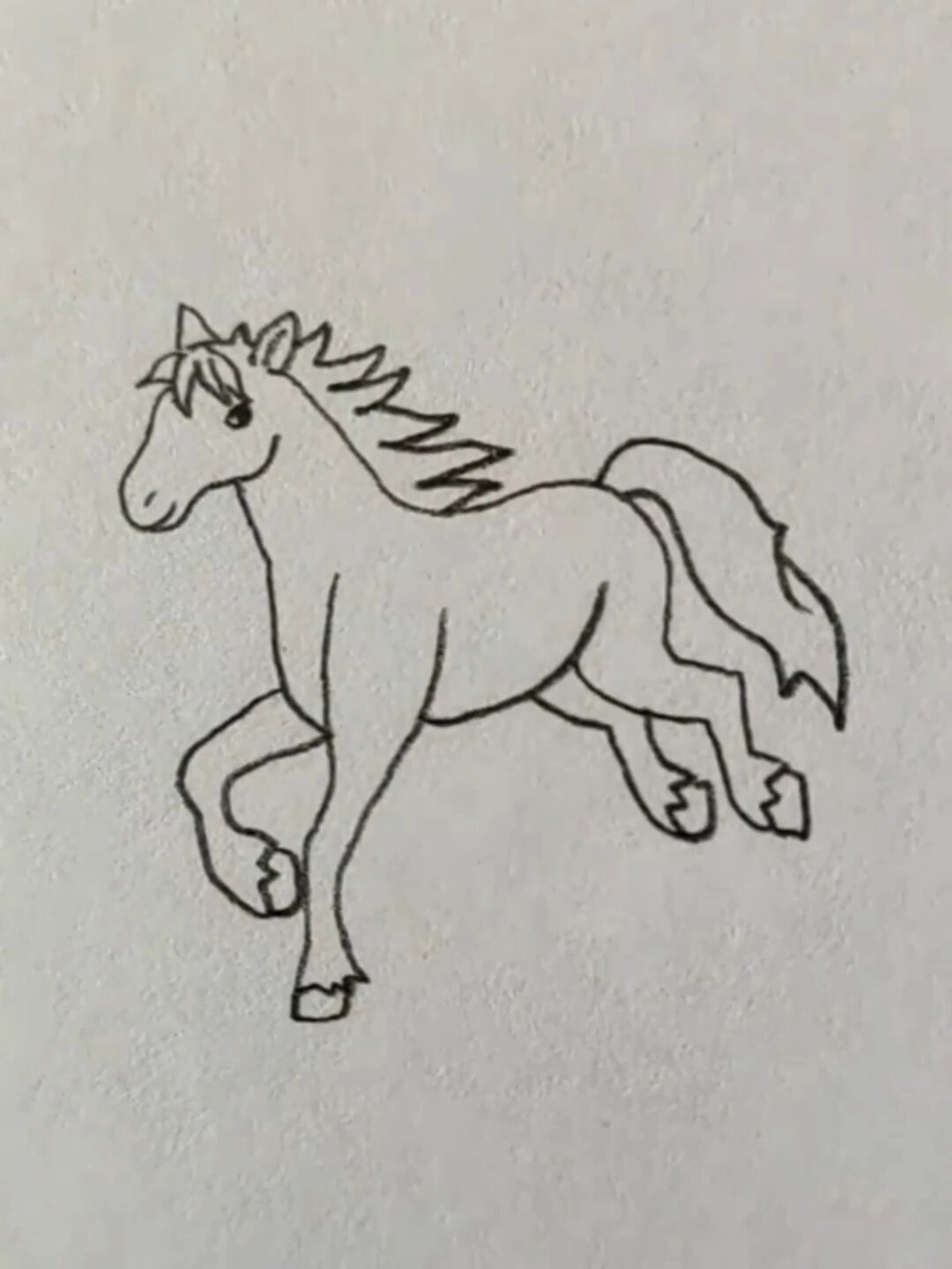 十二生肖—马简笔画