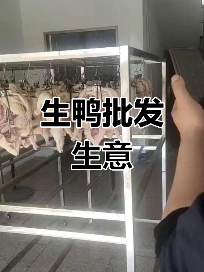 脆皮烤鸭,香酥半成品批发