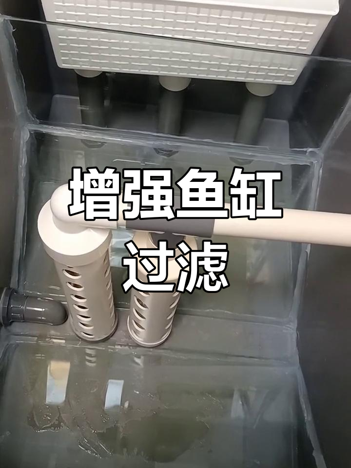 鱼缸过滤系统改造,提升沉淀效果