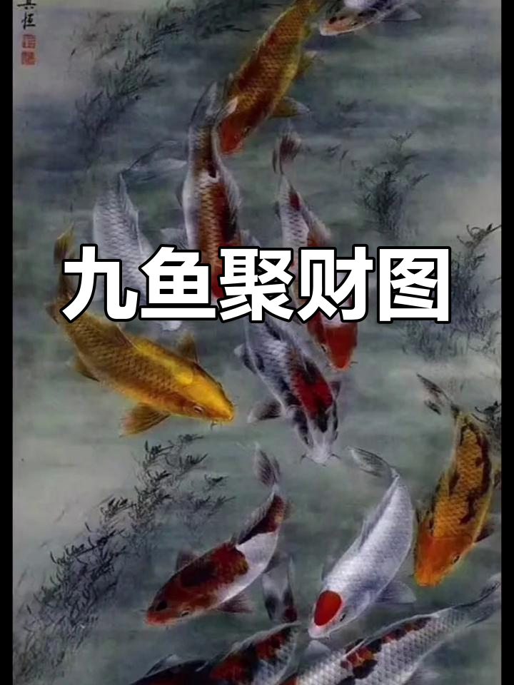 九鱼图寓意长长久久,带来好运