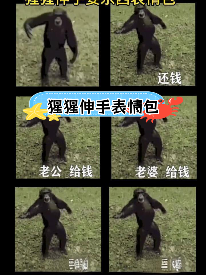猩猩伸手讨要表情包