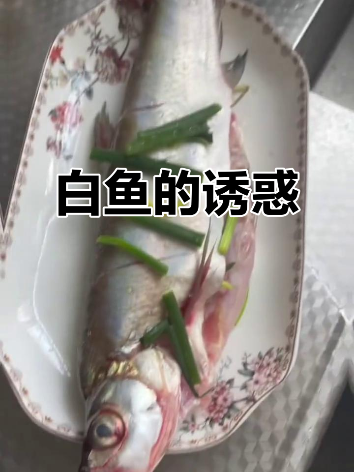 无锡必试白鱼,鲜美到无法抗拒!
