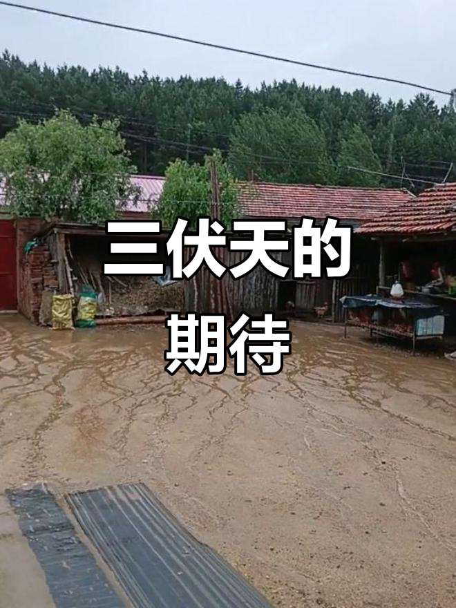 麻山区连日阵雨,三伏天来场大雨该多爽!