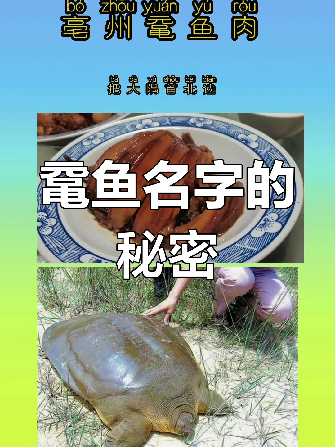 亳州独我知,鼋鱼肉命名由来揭秘!