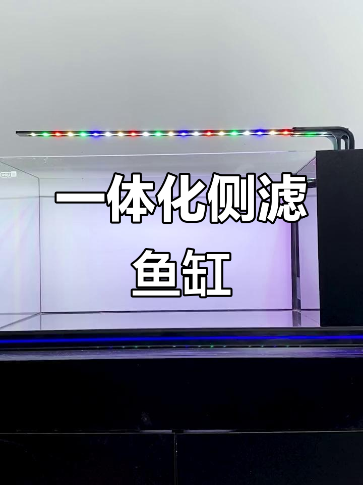 侧滤鱼缸，省心又美观，养鱼更轻松