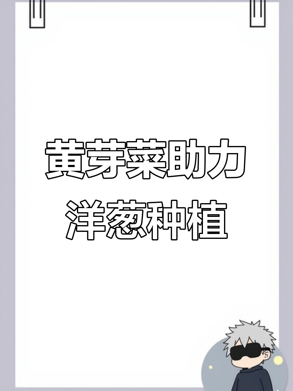 洋葱与大白菜轮作,黄芽菜早熟品种助力高产