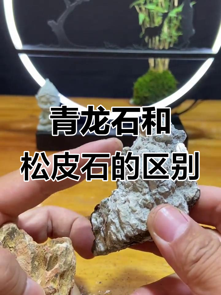 青龙石与松皮石的差异分析,造景技巧全解析