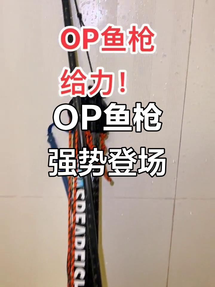 强力OP鱼枪,轻松抓捕猎物