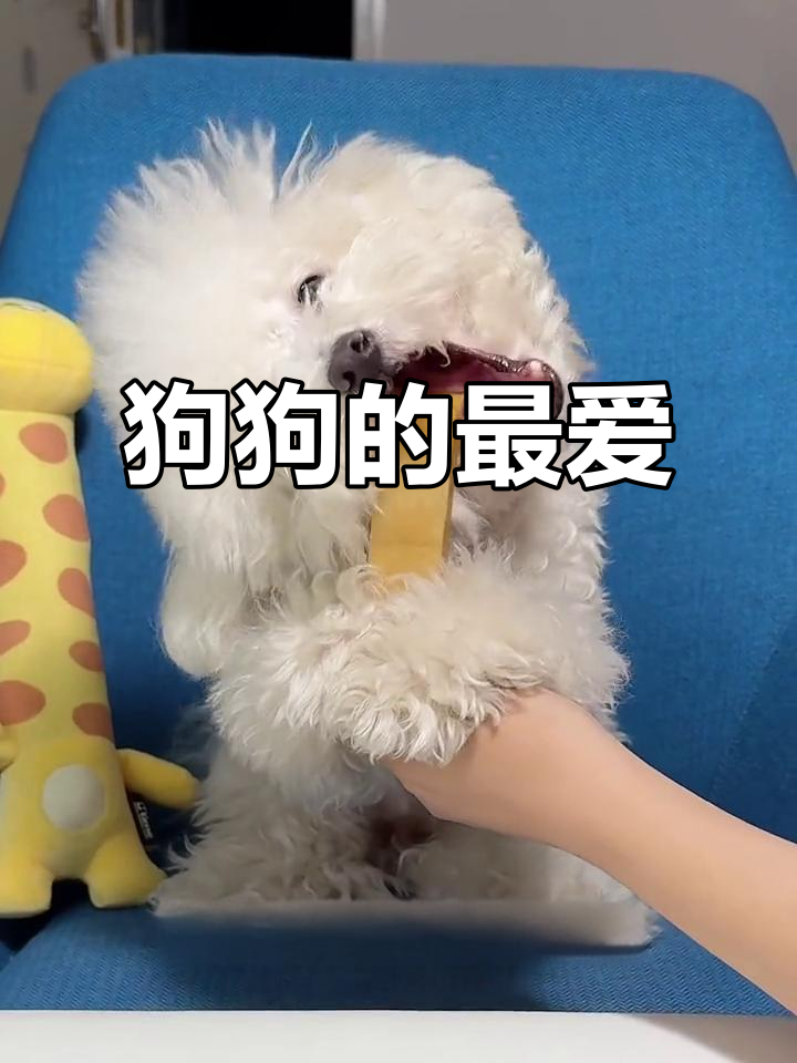 这款泡芙棒，富含牦牛奶与牛初乳，狗狗最爱！