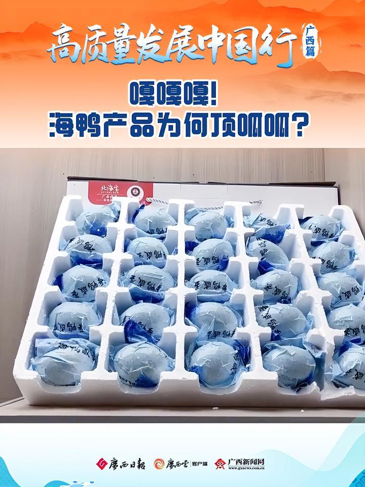高质量发展中国行 高质量发展看广西「嘎嘎嘎!海鸭产品为何顶呱呱?」9月13日,参加“高质量