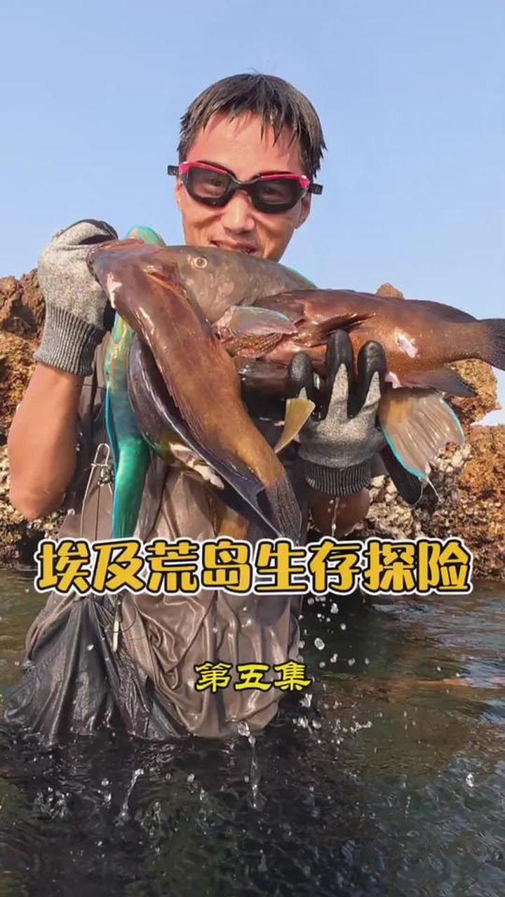 农村生活体验美食与野外荒岛求生乐趣