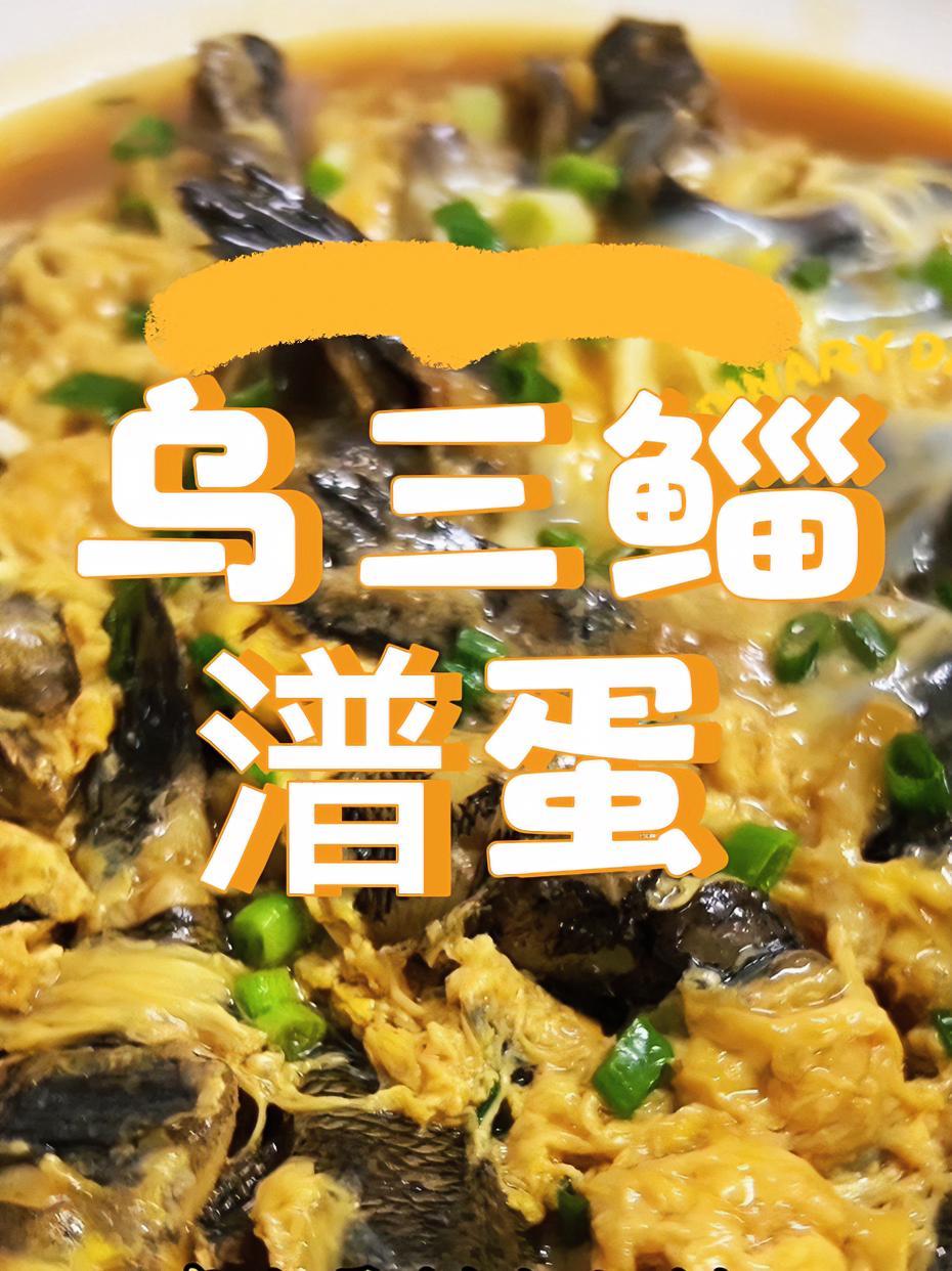 南通这爿小饭店炀个只沙地土菜乌三鲻潽蛋味道真是鲜上加鲜!地方特色美食 崇启海方言 人间烟火