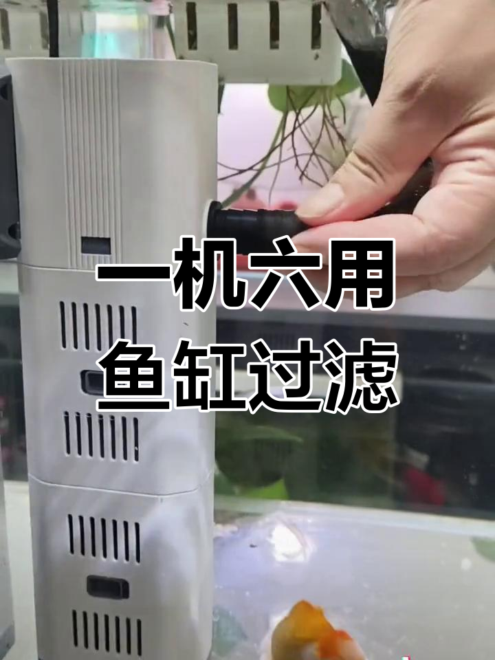 森森三合一过滤器,简易安装,高效净水