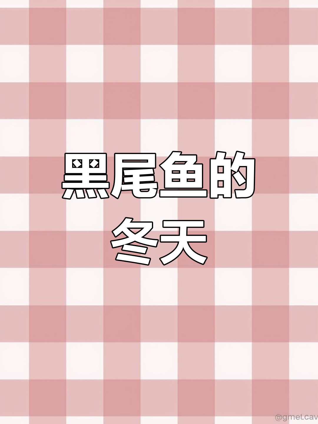 加热棒坏了,黑尾鱼能否撑过寒冬?新设备何时能到货?