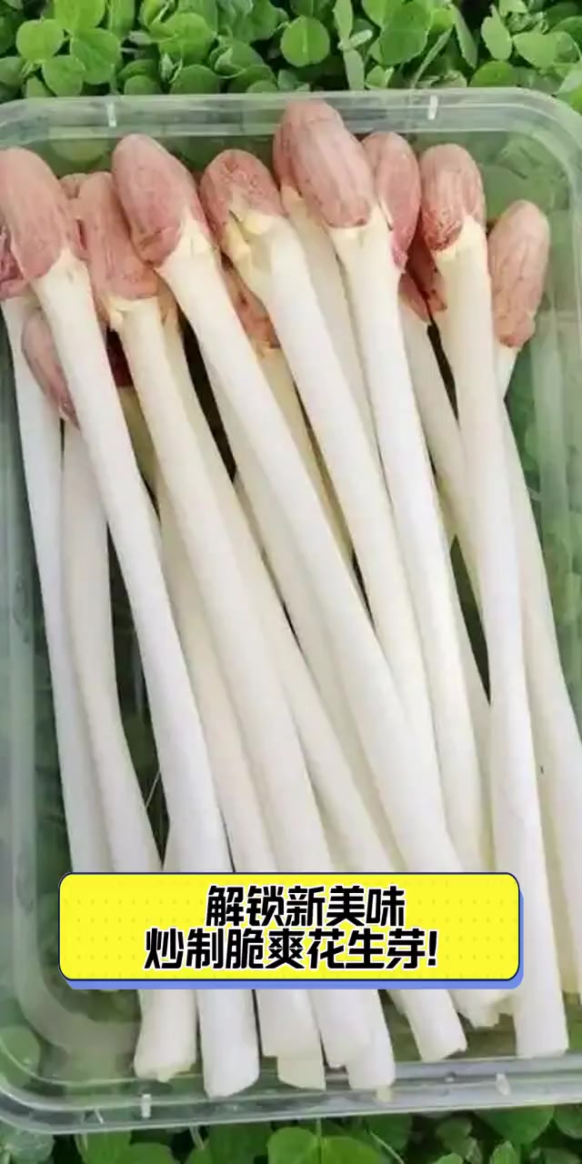 解锁新美味,炒制脆爽花生芽!