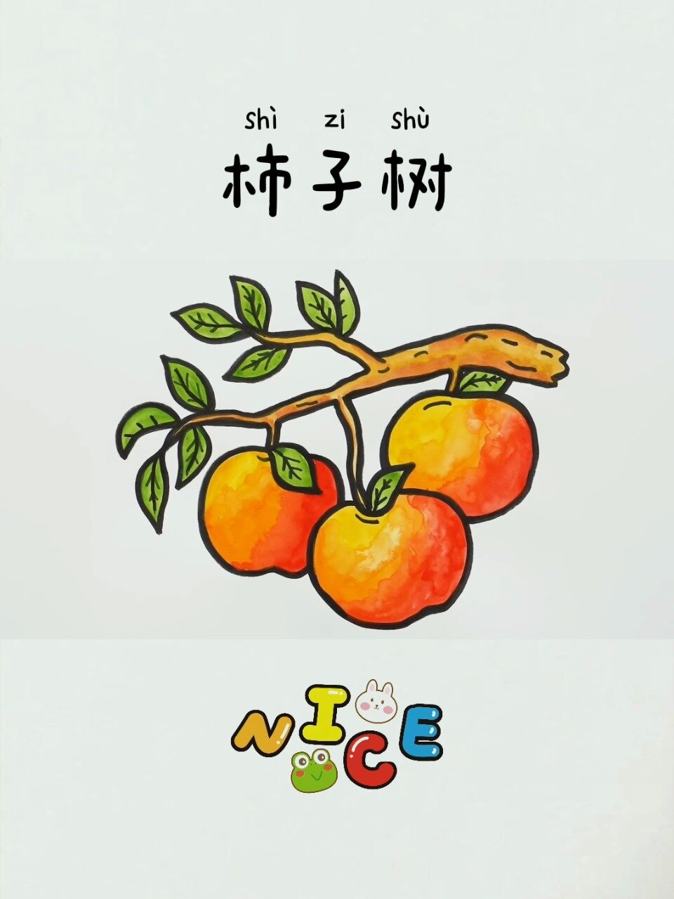 儿童简笔画202:柿子树