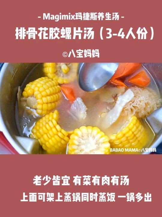 Magimix玛捷斯夏季滋补汤品花胶螺片排骨汤