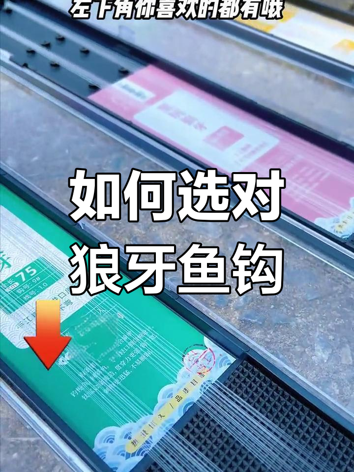 狼牙鱼钩种类解析,如何选择最适合你