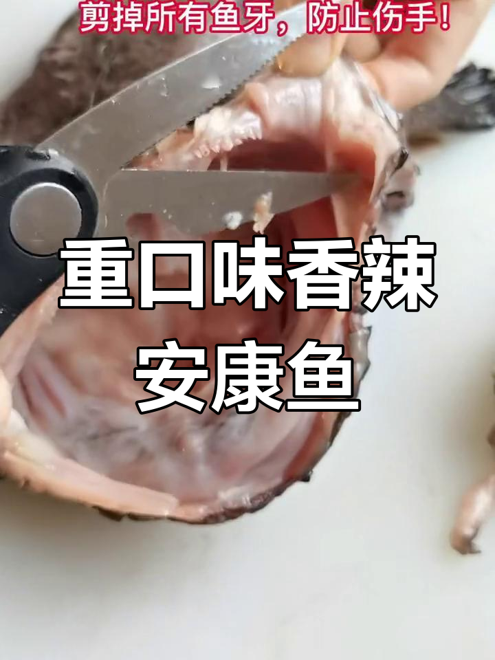 香辣安康鱼,处理过程太惊悚