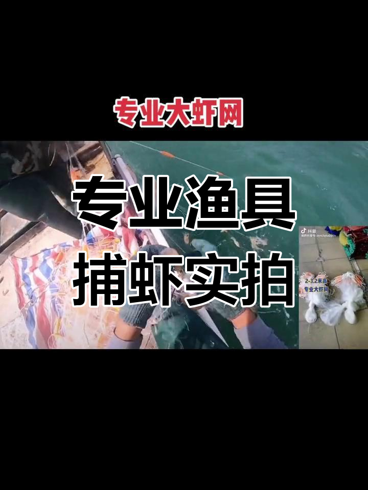 渔民捕虾日常:专业大虾网与各种海虾的精彩捕捉