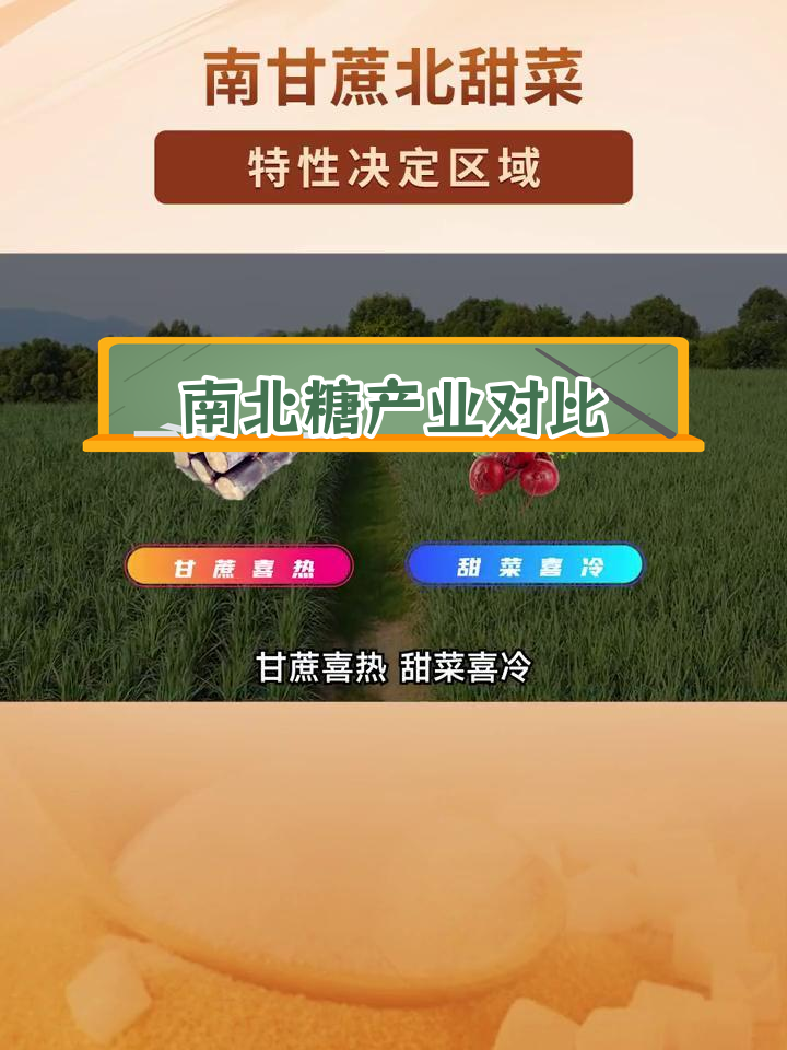 甘蔗与甜菜的地理分布差异