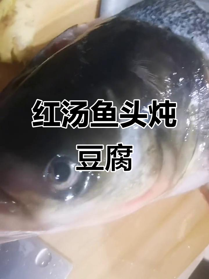 鱼头豆腐汤,番茄辣味红汤做法大揭秘