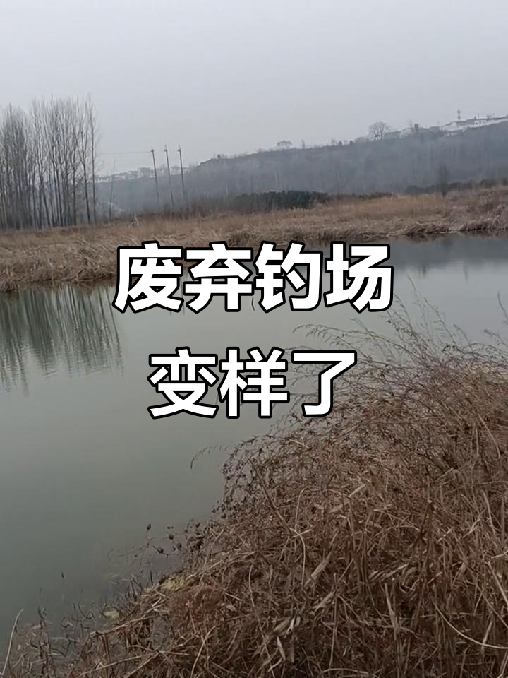 曾经的美好钓鱼地,如今被开发破坏,你还想去吗?