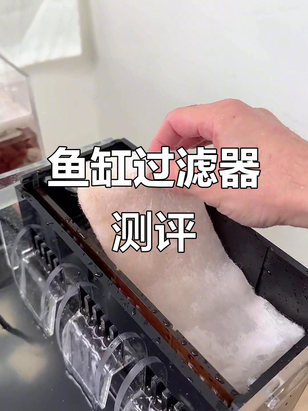 鱼缸过滤盒使用心得，干湿分离效果惊艳！