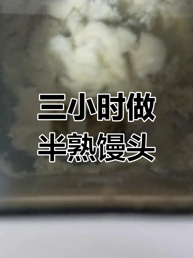 首次使用柏翠面包机,三小时后竟是半熟馒头