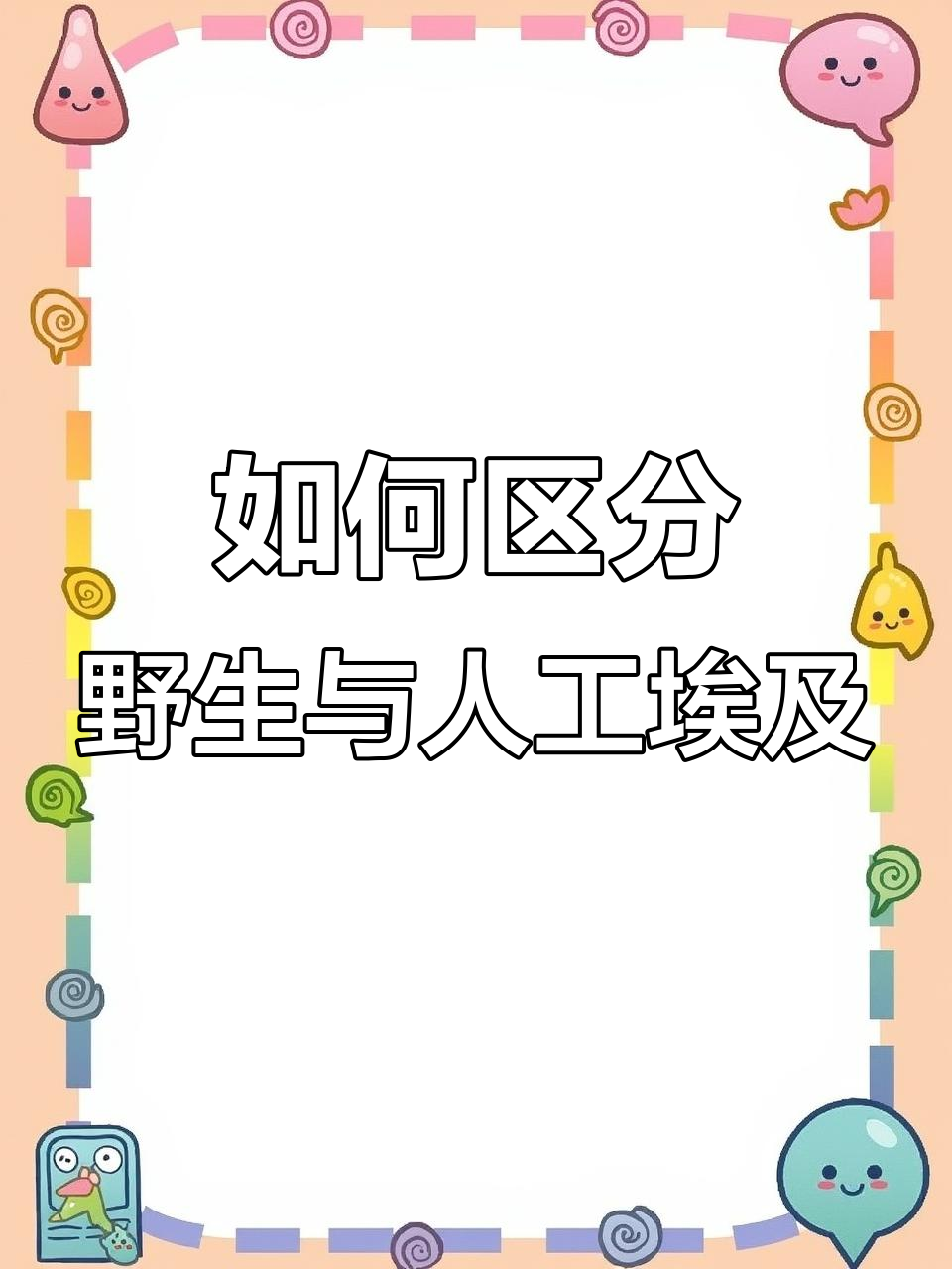 野生与人工埃及神仙鱼的辨别技巧，动线、嘴巴和体型全解析