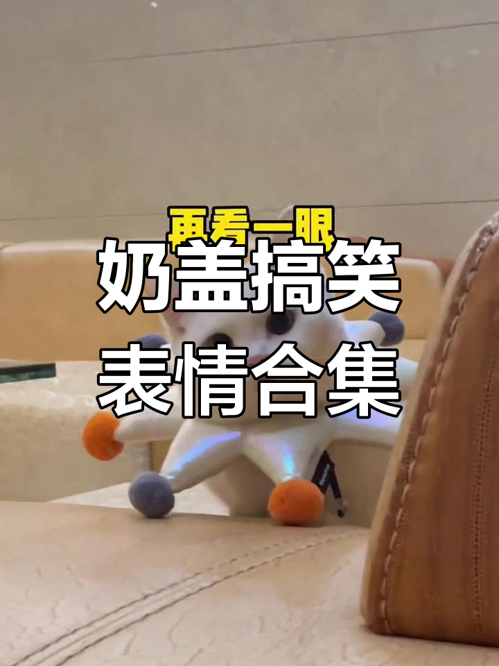 奶盖表情大变:从皱眉到斗鸡眼,萌宠技能挑战全程记录
