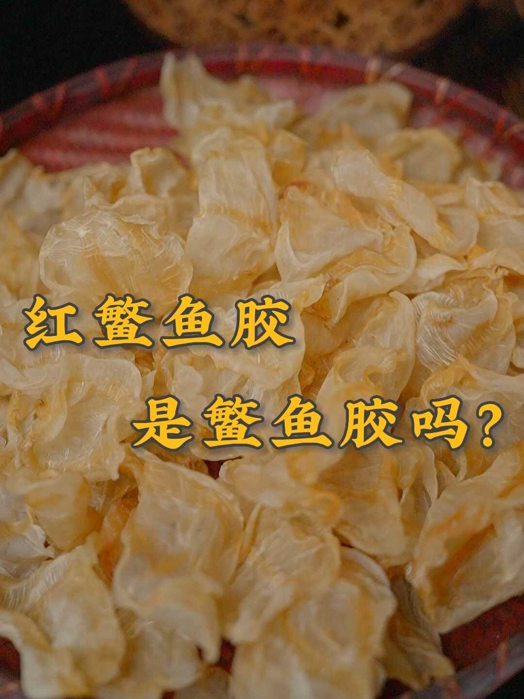 被白玉花胶替代的红鳘鱼胶,是什么鱼胶?