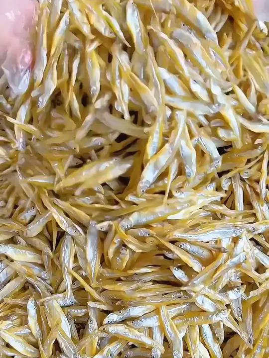 公干鱼干白公鱼美味小鱼干海鲜干货海燕丁香鱼咸鱼干3