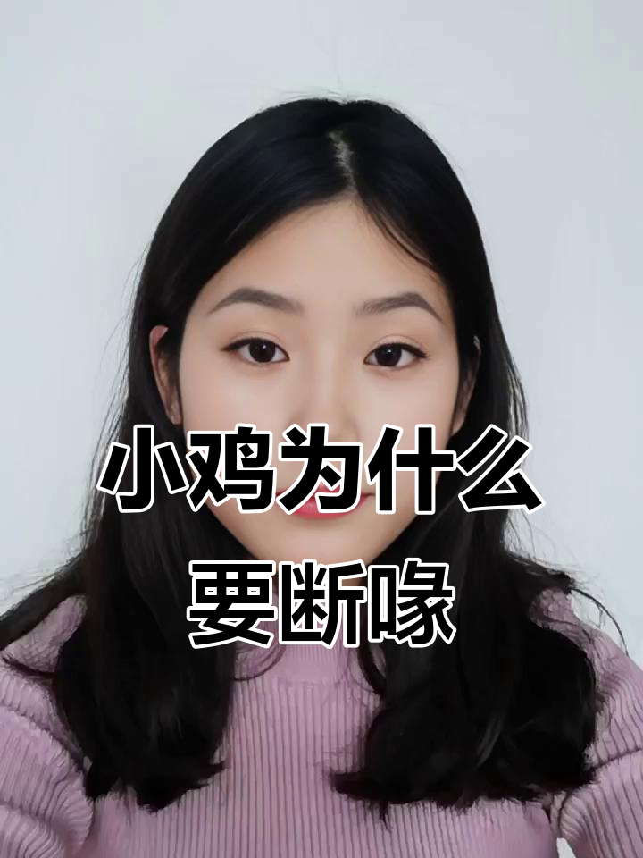 刚出生的小鸡为何要断喙?了解养殖小技巧