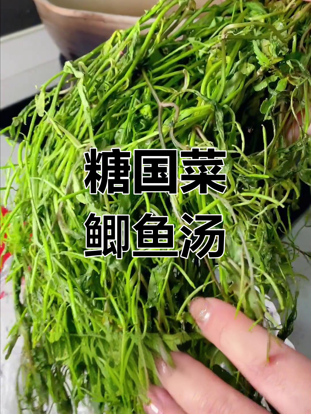 新鲜塘葛菜煲鲫鱼汤,清热去火又营养