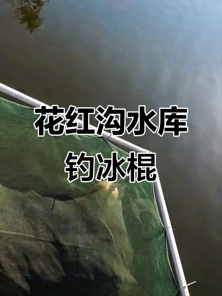 抚顺花红沟水库钓鱼之旅,冰棍与大鳊鱼齐飞