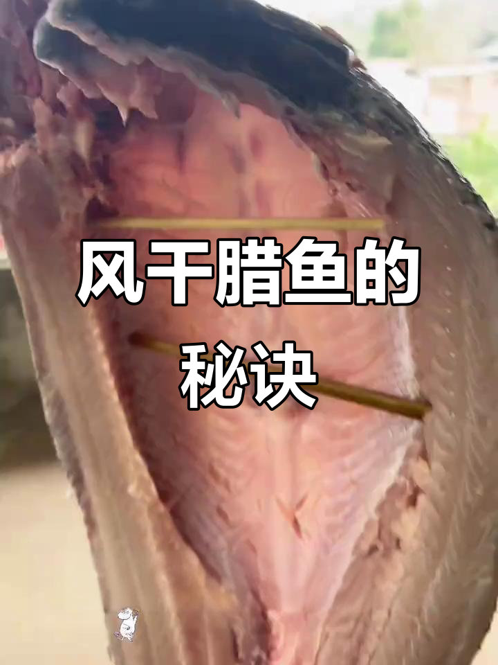 12月南方风干腊鱼，自制更健康实惠