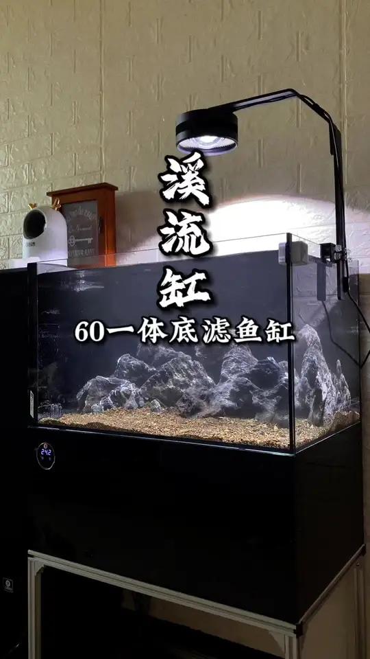 创作灵感 血脉觉醒专用曲,开一个60×40×40侧流一体底滤缸!黑武士不要太帅!黑武士鱼缸