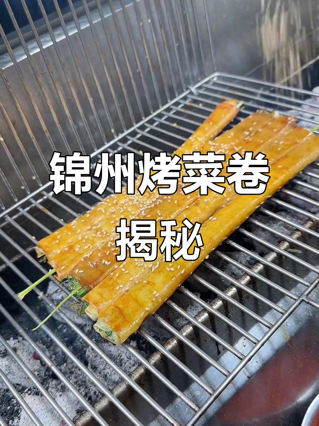 锦州烧烤菜卷大揭秘,干豆腐与香葱的完美搭配