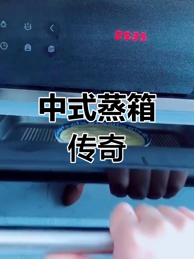 老板蒸箱,保留原汁原味,40年匠心传承