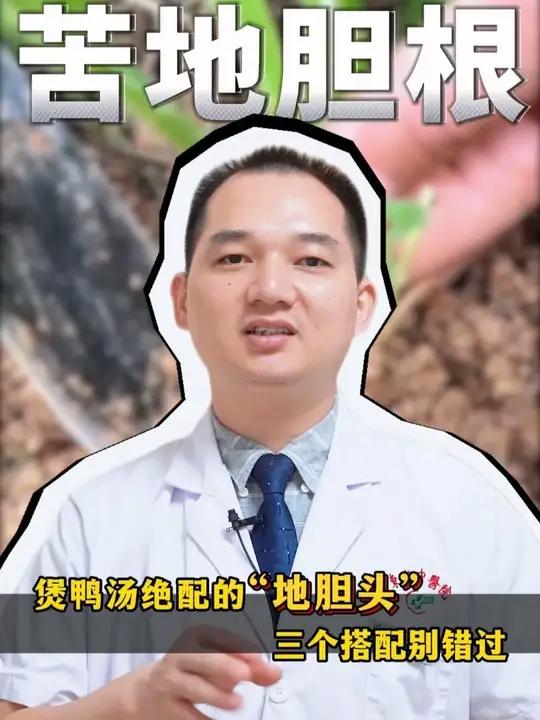 煲鸭汤绝配的“地胆头”,三个搭配别错过