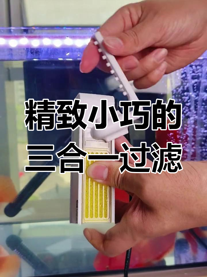 小鱼缸必备!三合一过滤器,吸便增氧又美观