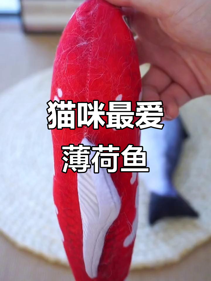 薄荷鱼玩具,鲜亮又劲爆,猫咪无法抗拒!