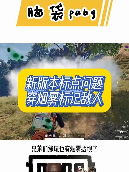 新版本标点总标不上的问题,以及穿烟标记精准打击 2024鸡斯卡星火计划 pubg pubg