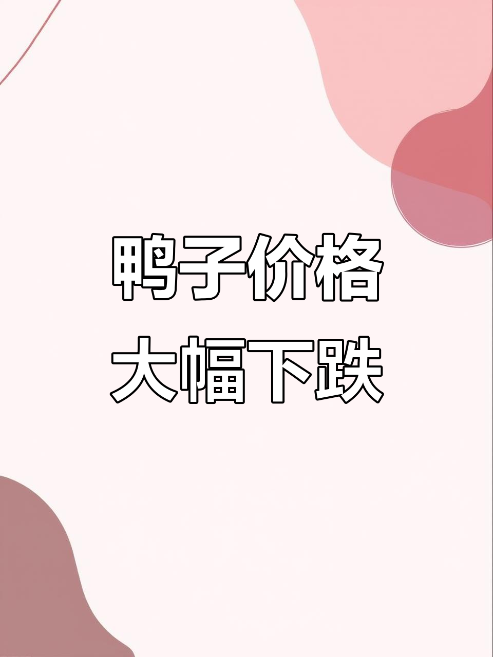 白羽肉毛鸭价格暴跌,市场波动引发关注