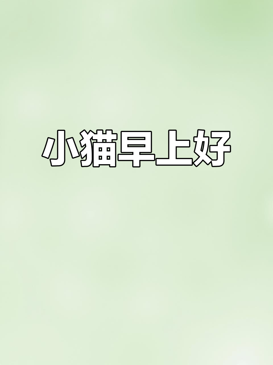 精神小猫早安,萌态十足!