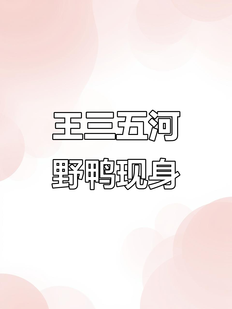 昨晚终于见到野鸭,王三五河的期待成真了!