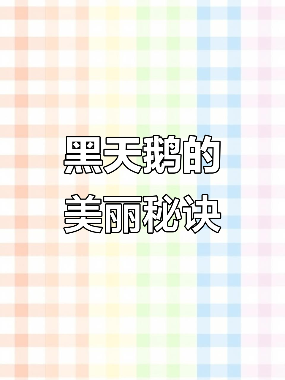 黑天鹅同样优雅,制作教程轻松掌握!