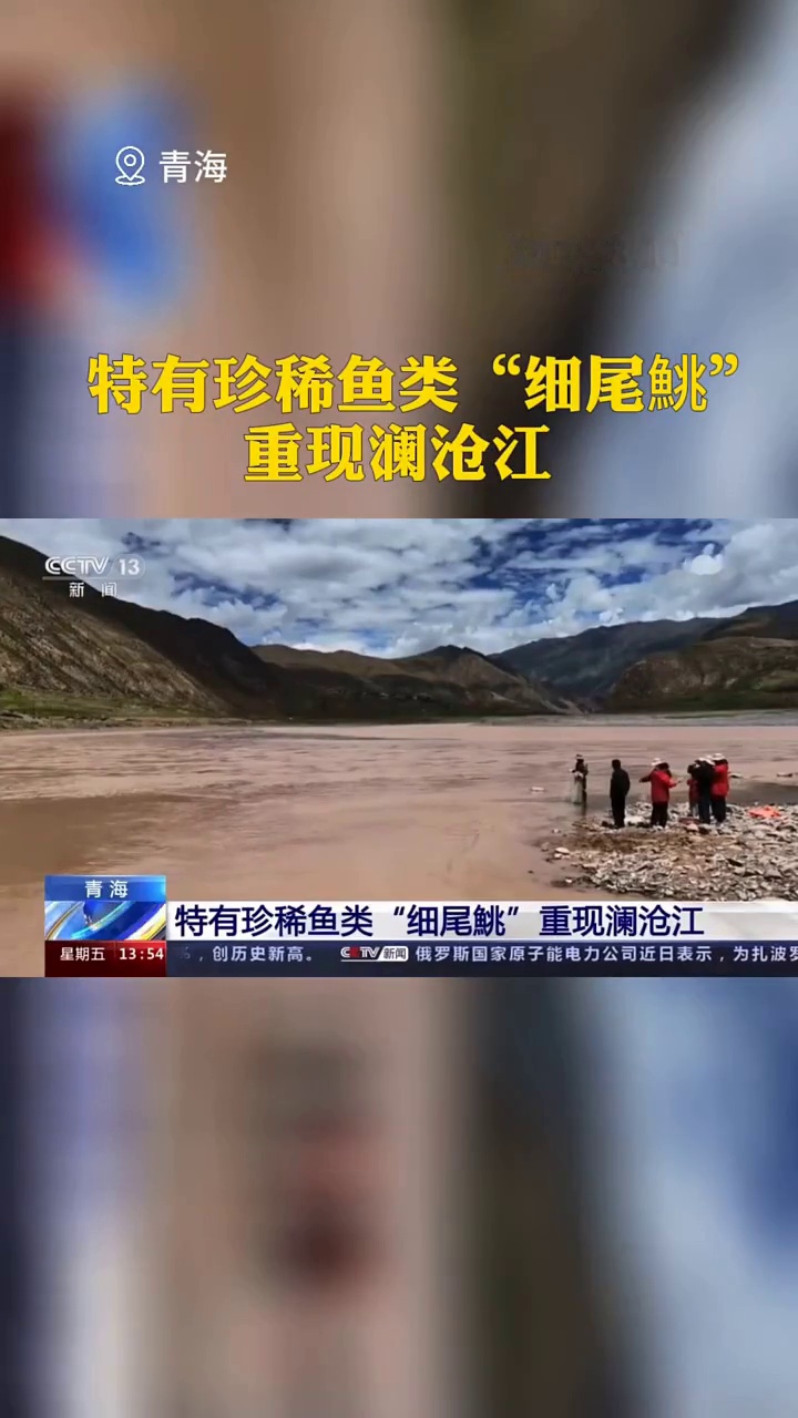青海特有珍稀鱼类细尾鮡重现澜沧江