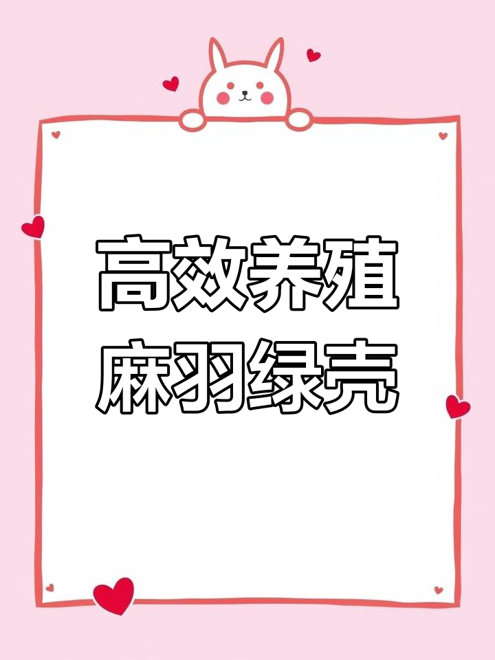 高产麻羽绿壳蛋鸡,卖蛋肉都赚钱